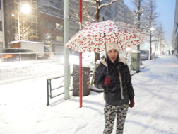 2014年2月に降る雪。都心の様子